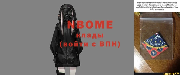 дмт Алзамай