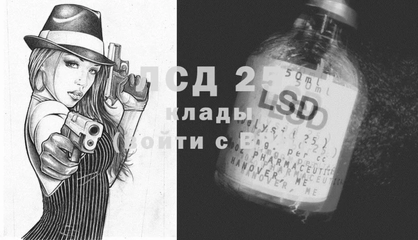 дмт Алзамай