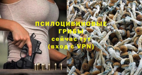 не бодяженный Алексин