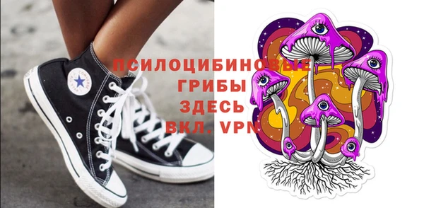 дмт Алзамай