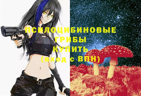 не бодяженный Алексин