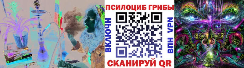 Псилоцибиновые грибы Cubensis hydra ссылки Балашов