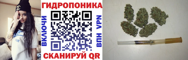 omg как зайти  нарко площадка официальный сайт  Каннабис SATIVA & INDICA  Балашов 